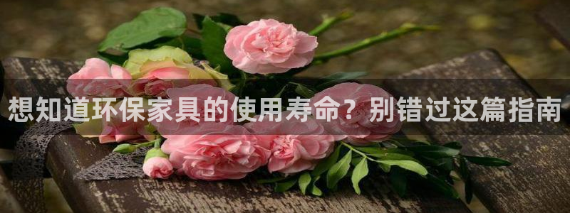 杏耀平台招商的流程