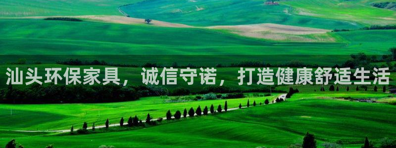 杏耀主管qq