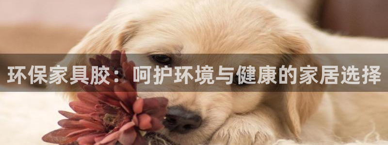 杏耀平台客户端