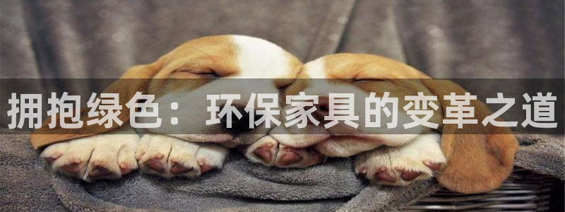 杏耀代理主管qq