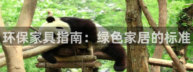 杏耀平台黑款