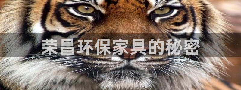 杏耀代理1980
