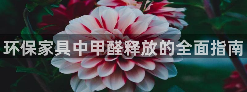 杏耀平台官方网站