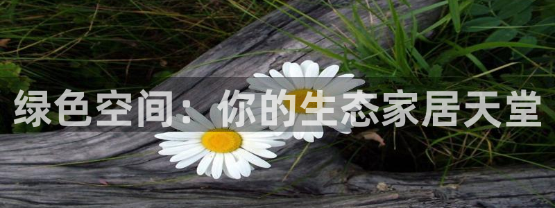 杏耀平台登陆官网
