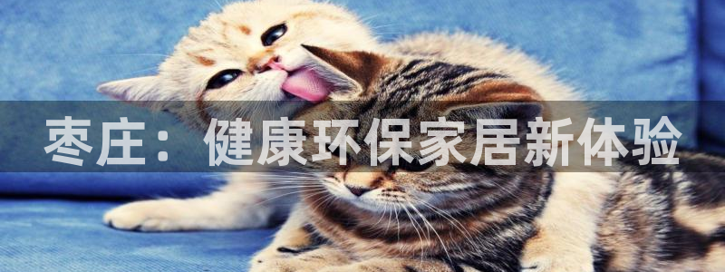 杏耀测速网址电脑版
