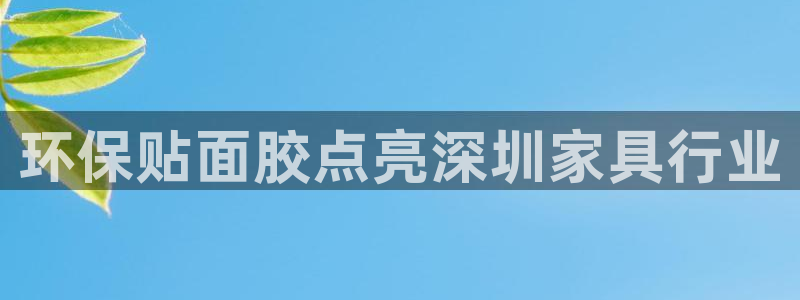杏耀软件：环保贴面胶点亮深圳家具行业
