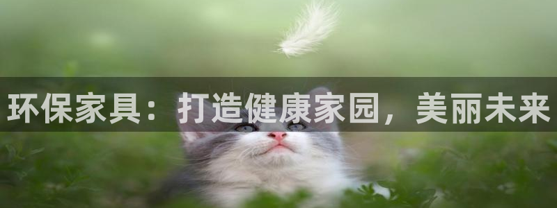 杏耀是什么平台