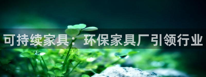 杏耀平台官方登录：可持续家具：环保家具厂引领行业