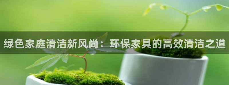 杏耀测速娱乐：绿色家庭清洁新风尚：环保家具的高效清洁之道