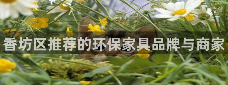 杏耀平台可以提款吗：香坊区推荐的环保家具品牌与商家