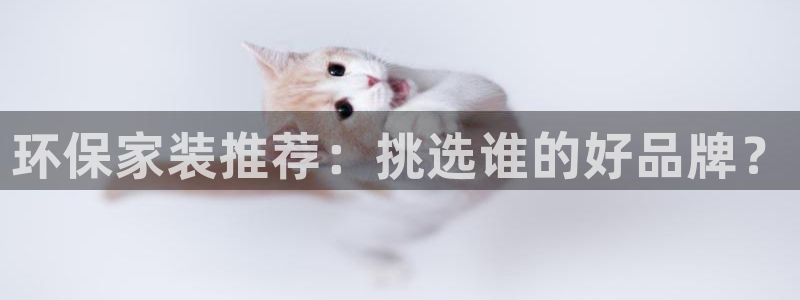 杏耀代理1980：环保家装推荐：挑选谁的好品牌？