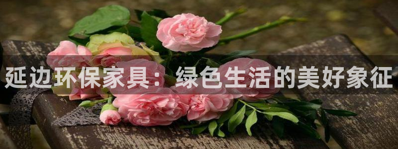 杏耀平台到底能玩吗：延边环保家具：绿色生活的美好象征