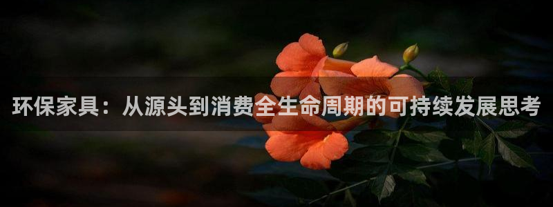 杏耀官网注册：环保家具：从源头到消费全生命周期的可持续发展思