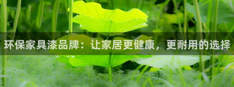 杏耀平台代理登录网址是什么：环保家具漆品牌：让家居更健康，更