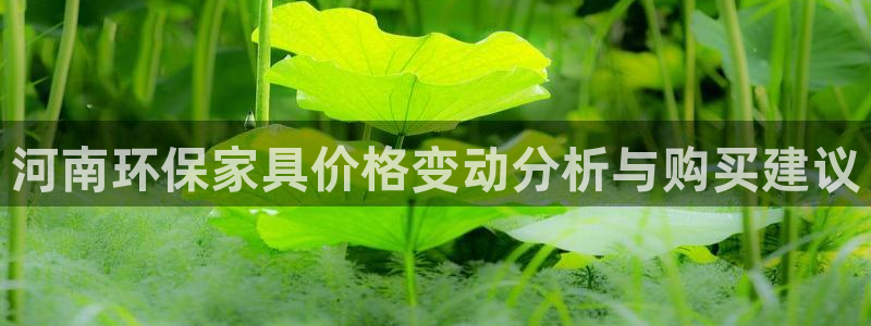 杏耀官网网站：河南环保家具价格变动分析与购买建议