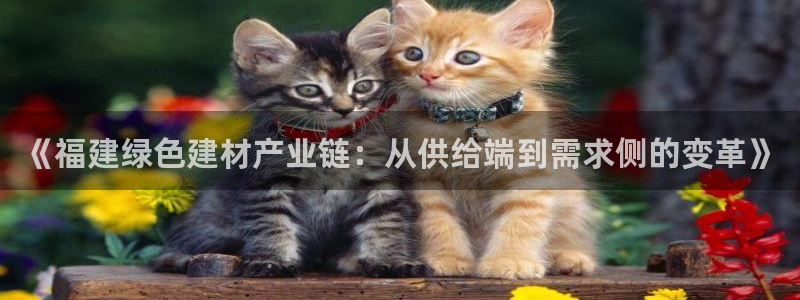 杏耀平台注册代理：《福建绿色建材产业链：从供给端到需求侧的变