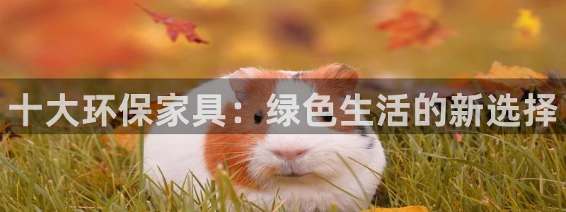 杏耀平台代理注册多少钱一年：十大环保家具：绿色生活的新选择