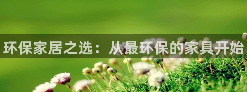 杏耀平台代理：环保家居之选：从最环保的家具开始