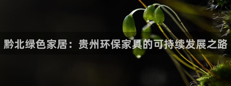 杏耀线路测速登录中心：黔北绿色家居：贵州环保家具的可持续发展