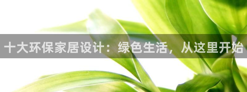 杏耀测速网址电脑版：十大环保家居设计：绿色生活，从这里开始
