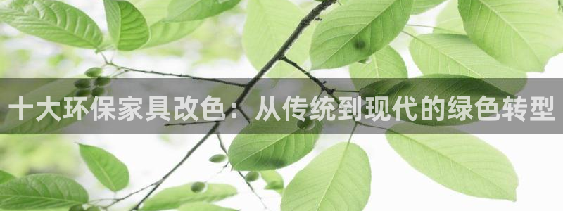 杏耀登陆测速