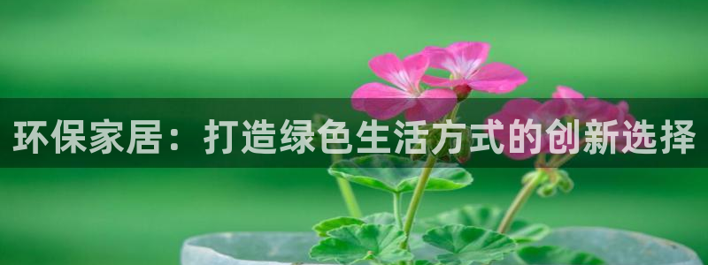杏耀官网网站
