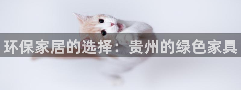 杏耀平台登录：环保家居的选择：贵州的绿色家具