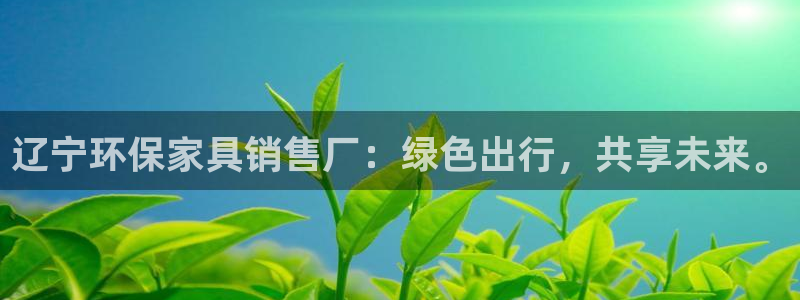 杏耀平台代理注册多少钱：辽宁环保家具销售厂：绿色出行，共享未