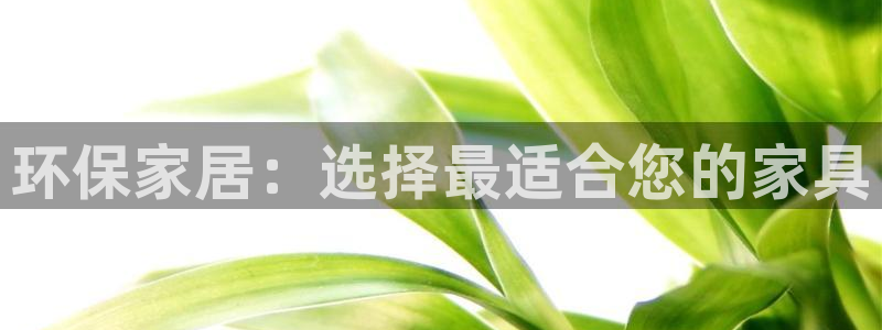 杏耀平台官方登录：环保家居：选择最适合您的家具