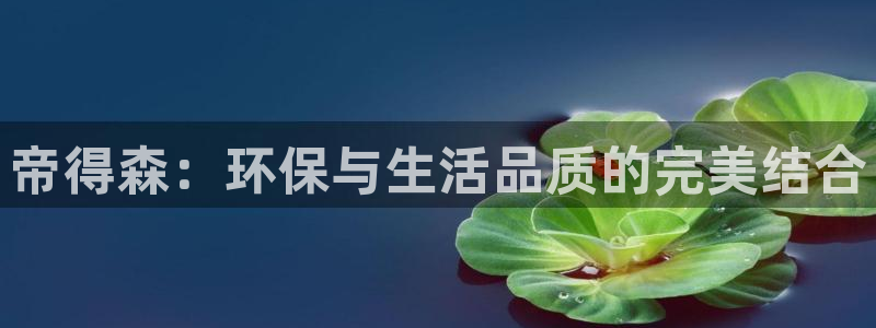 杏耀平台指定：帝得森：环保与生活品质的完美结合