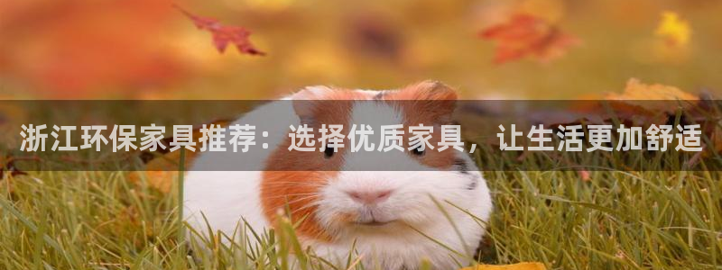 杏耀平台服务中心是干嘛的：浙江环保家具推荐：选择优质家具，让