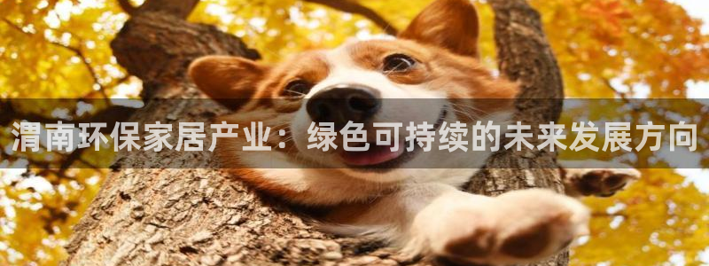 杏耀app怎样申请退款：渭南环保家居产业：绿色可持续的未来发