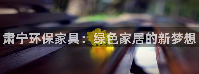 杏耀登陆：肃宁环保家具：绿色家居的新梦想