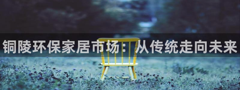 杏耀代理登录中心：铜陵环保家居市场：从传统走向未来